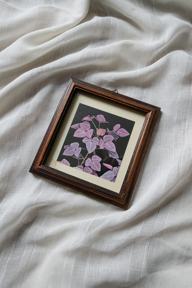 Purple Botanics🌙 Cadre revalorisé