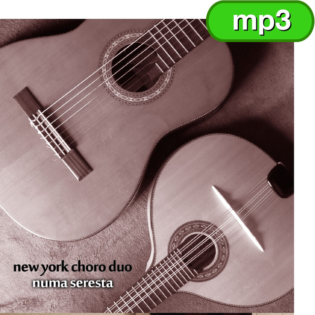 NY Choro Duo