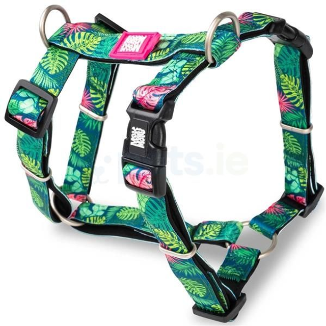 Max &amp; Molly Harness