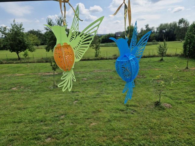 Oiseaux lumineux solaire multi