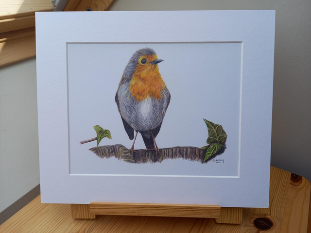 Robin Print
