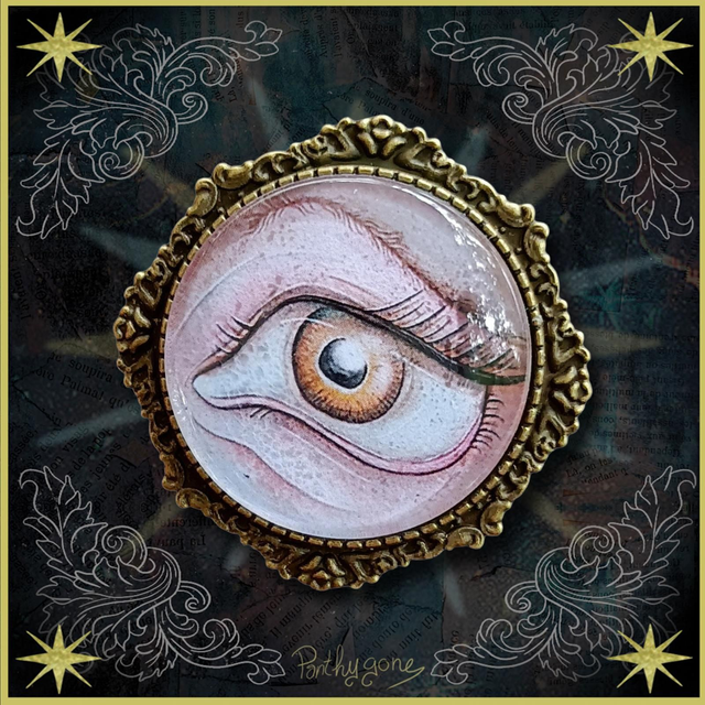 Œil inquiet - Broche