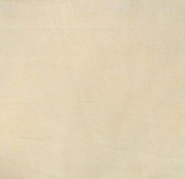 Chemisier Rêverie - manches courtes