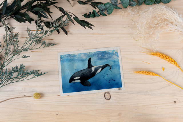 Graspapierkarte - Orca No.2