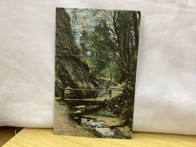Shanklin Chine, Rustic Bridge, Isle of Wight, The Wrench Series vintage postcard. Our Ref No. R637 £2.50