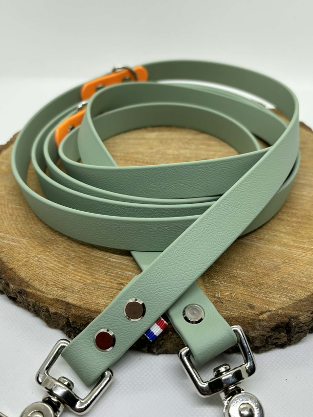 Laisse 3 points nuance des couleurs favoris