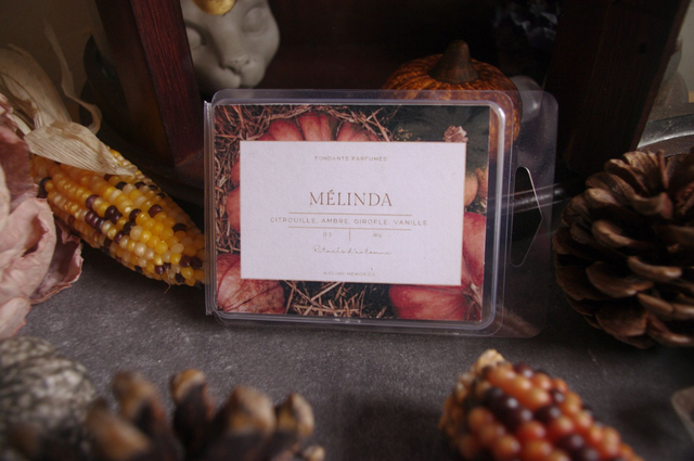 Fondant parfumé Mélinda — Citrouille, Ambre, Girofle &amp; Vanille