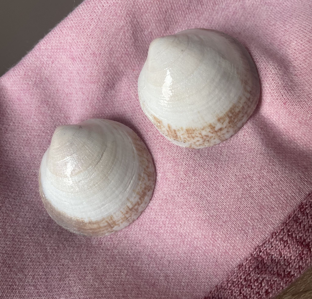 'almond' earrings