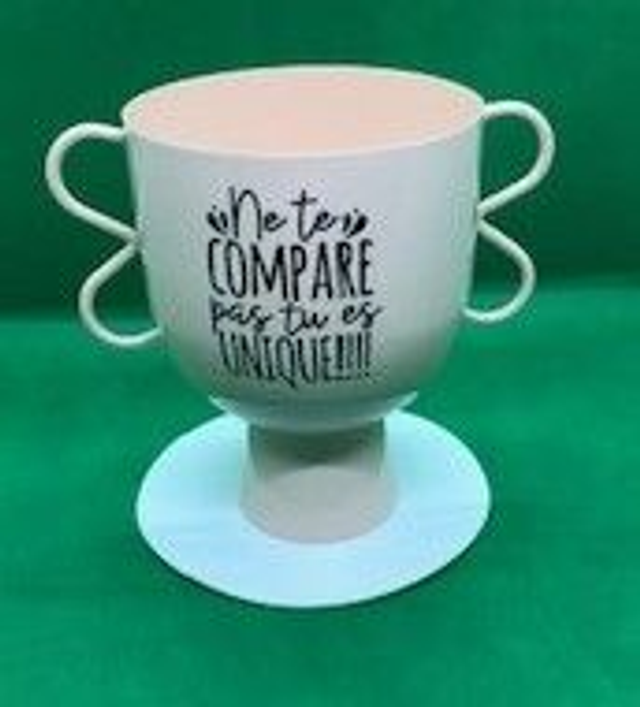 Vase intérieur ou extérieur