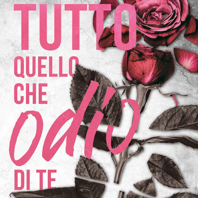 24 Tutto quello che odio di te Valentina Vanzini