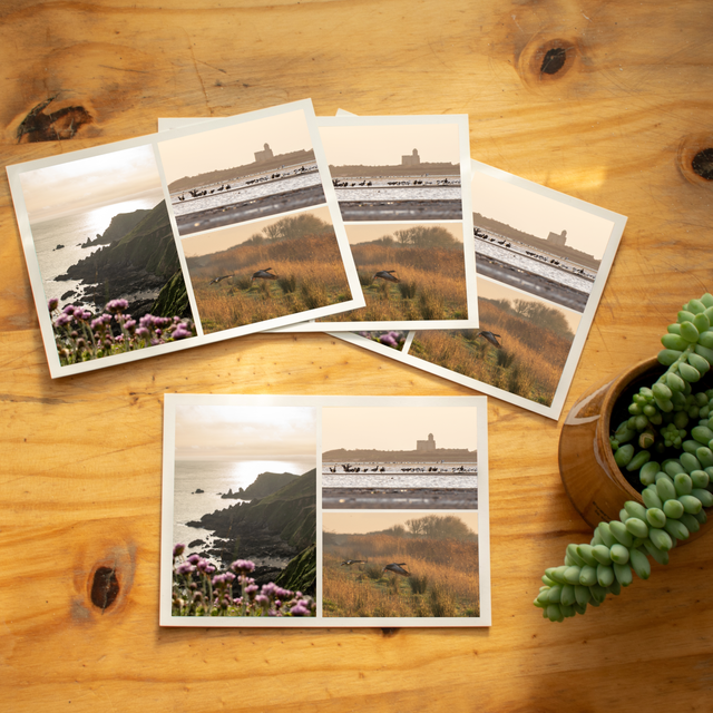 Carte postale &quot;Cotentin sauvage&quot;