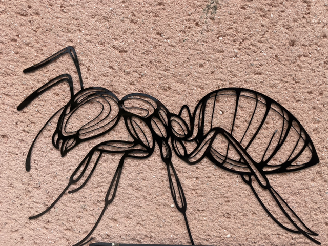 Jolie Fourmis 