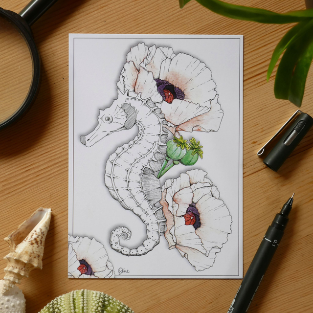 CARTE POSTALE – Hippocampe