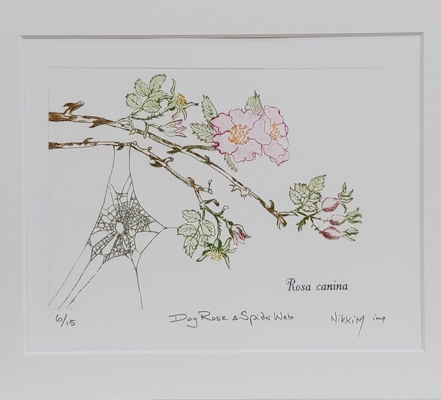 Dog Rose &amp; Spider Web by NikkiM