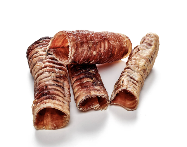 Trachée de boeuf courte 10cm 250g