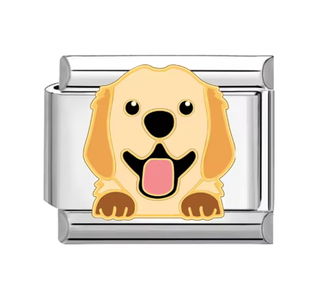 Charm Perrito Golden