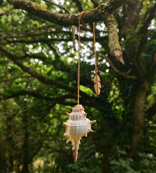 Pendule coquillage &quot;Murex&quot; #1