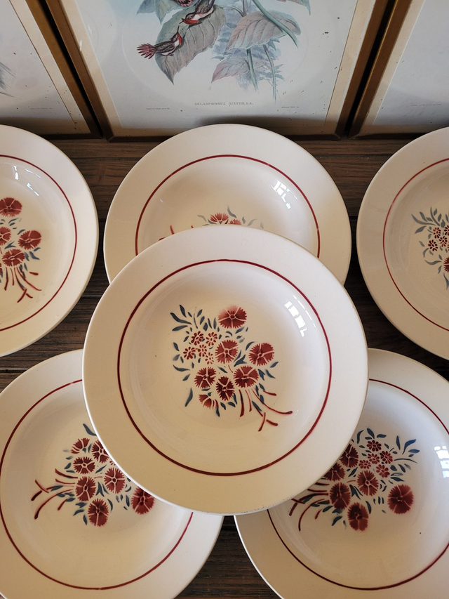 Assiettes creuses Badonviller Francine, décor floral (lot de 6)