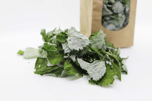 Feuilles de framboisier