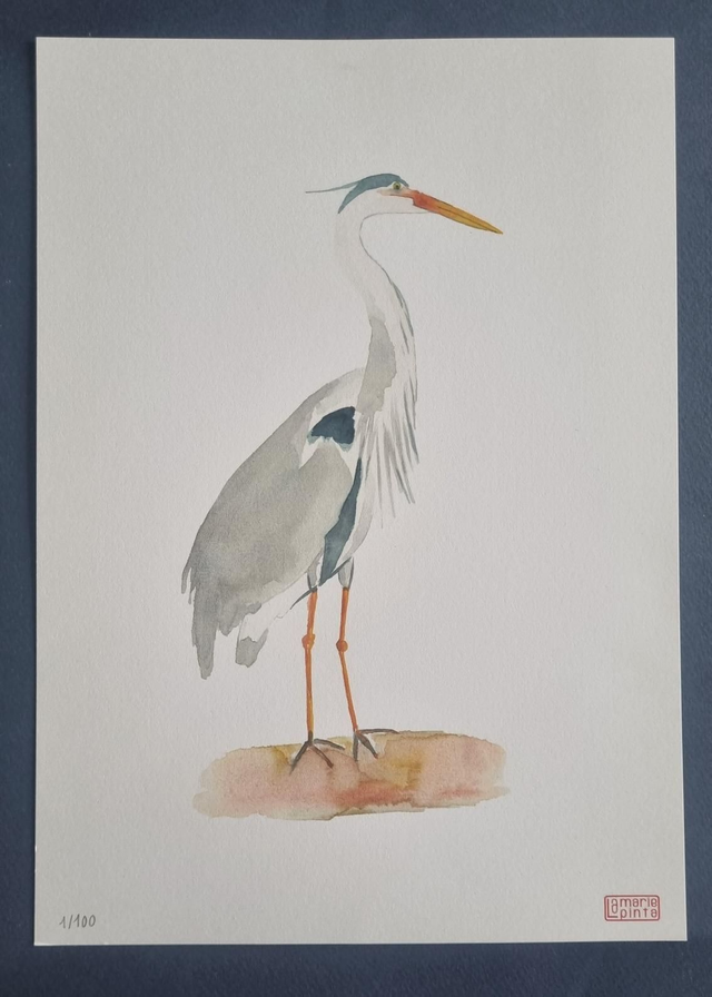 Héron cendré à partir de 4€