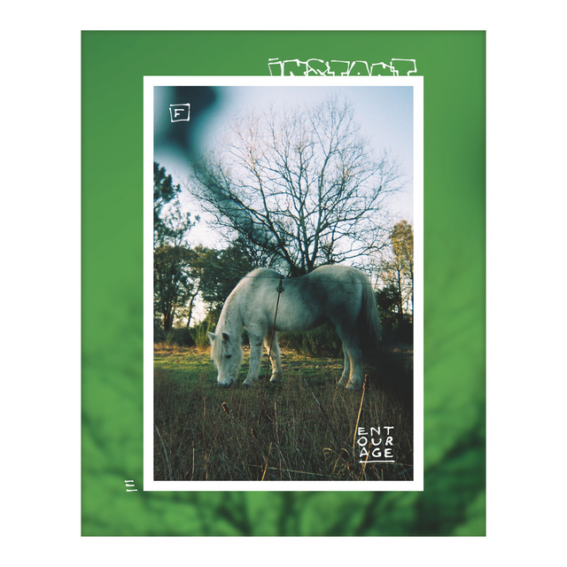 Cheval blanc - Téléchargeable / 2025