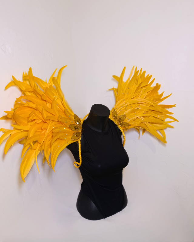 Costeiro Cleonina Jaune