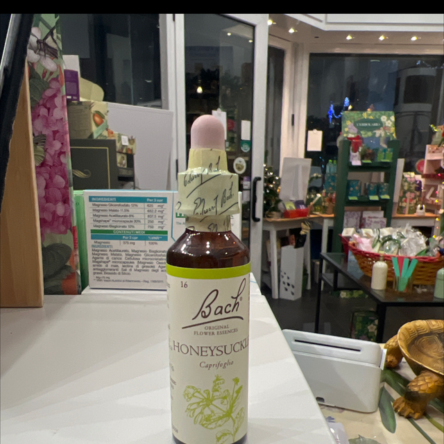 Fiori di bach 16 Honeysuckle