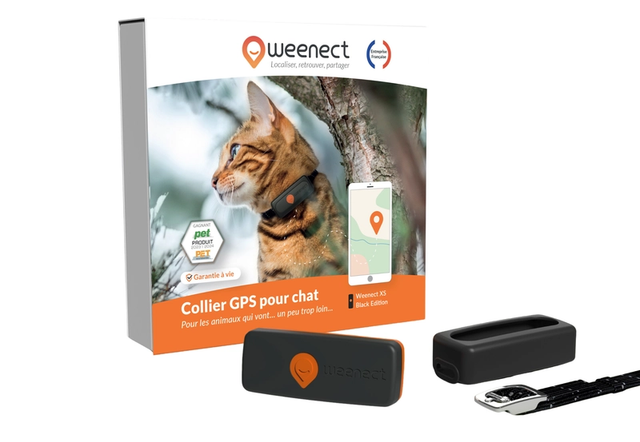 Weenect XS Chat — Petit traceur GPS pour chat