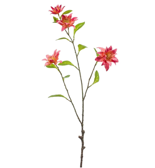 Clematis branch pink 75cm