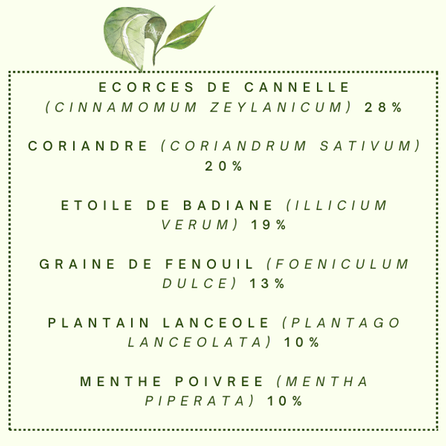 Tisane "Stop Enclume" Système digestif