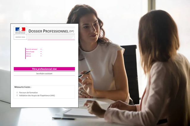 Dossier professionnel CIP