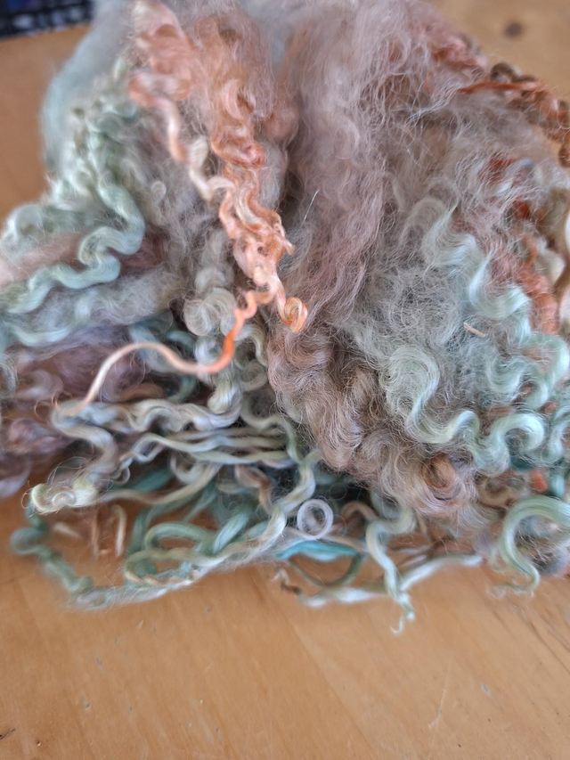 Boucles01110 Teeswater teinte main 34g