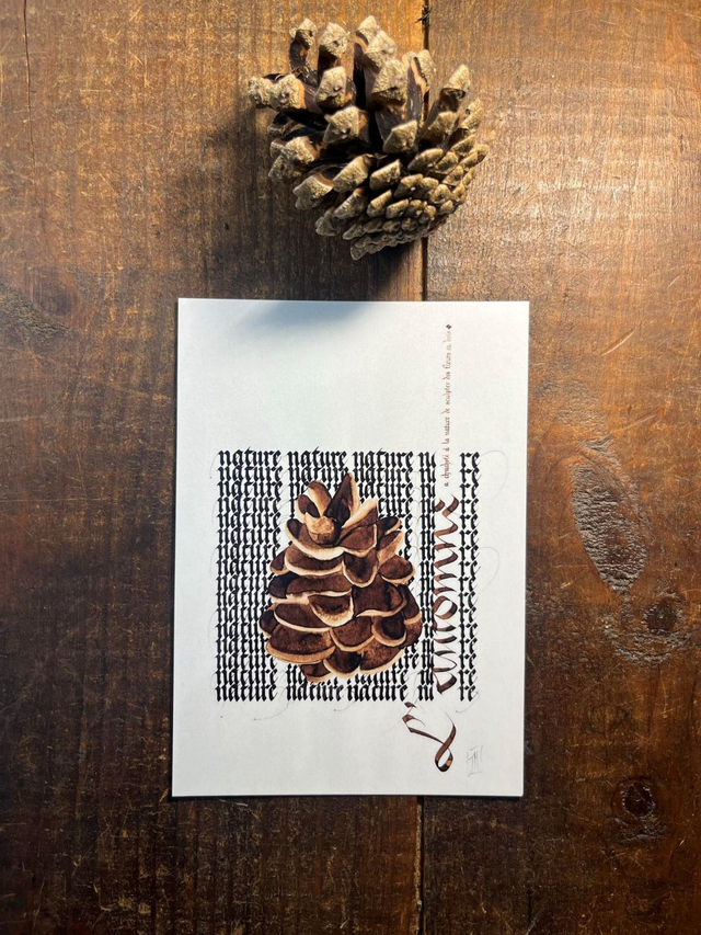 Carte Pomme de pin