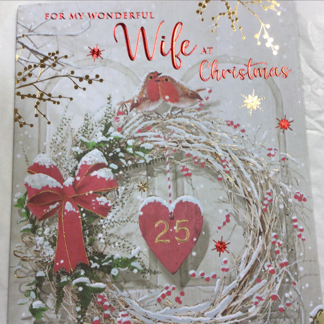 Christmas Wife (Robins) NQ