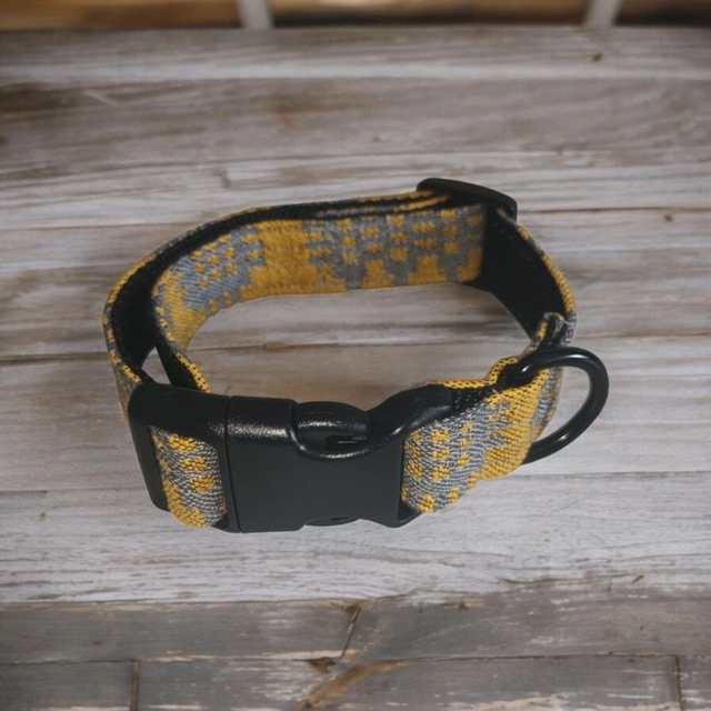 Moose & Co Collar - Yellow