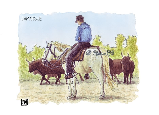 Camargue Gardian et Taureaux / Gardian and Bulls