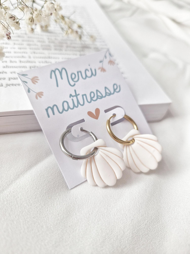 Les coquillages blanc