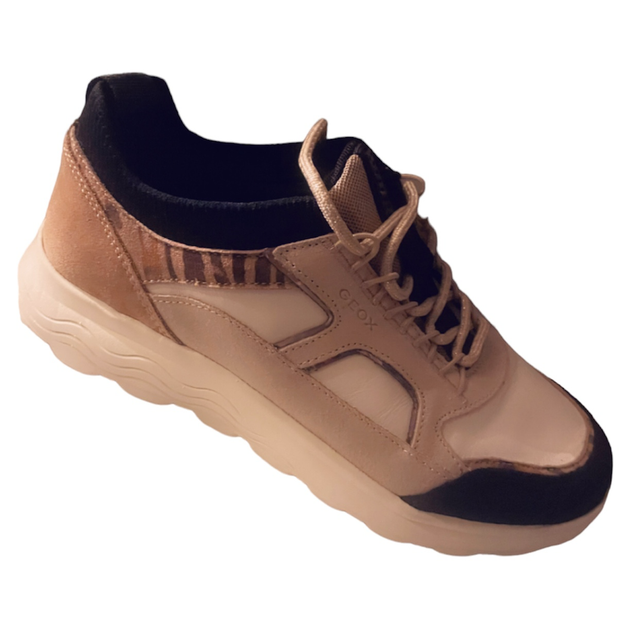  Basket SPHERICA GEOX 