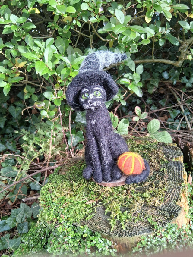 Needle Felt Salem