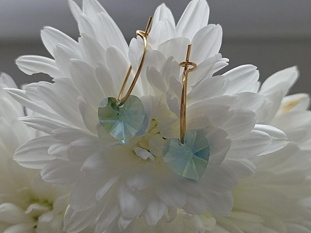 Éclat De Passion - Créoles Argent