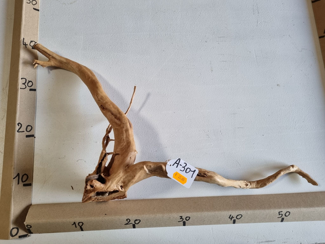 Racine araignée A-301