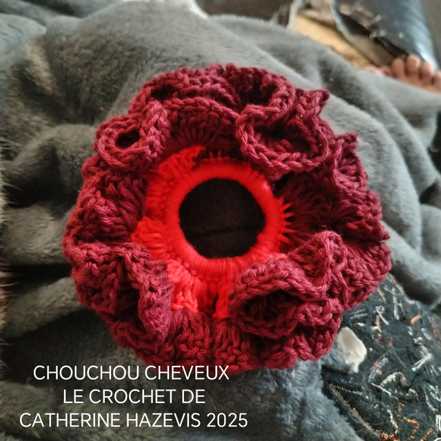 2025 CHOUCHOU CHEVEUX 