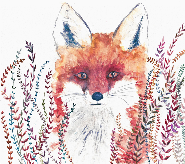 Renard d&#039;automne