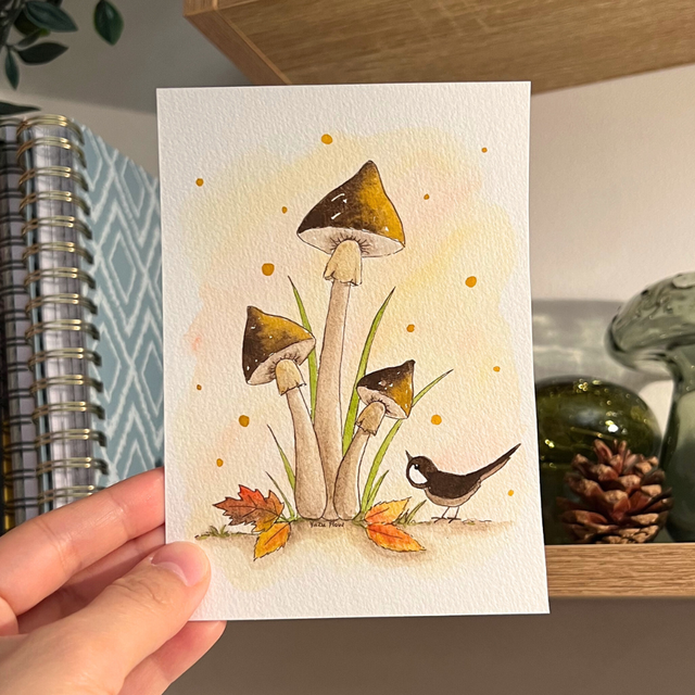 Le trio curieux ✨ A6