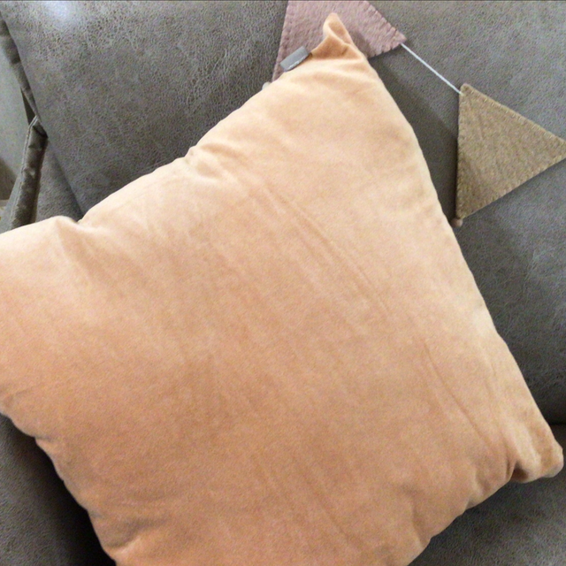 Apricot Velvet/Linen Cushion