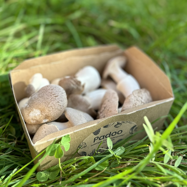 Farm to table box BIO MINI (150g)