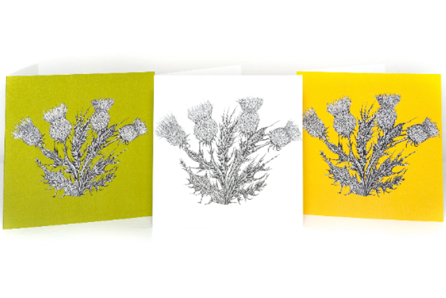 Ink Sketched Thistle Greeting Card