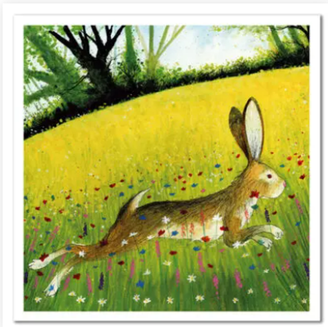 Greetings Card Meadow Hare
