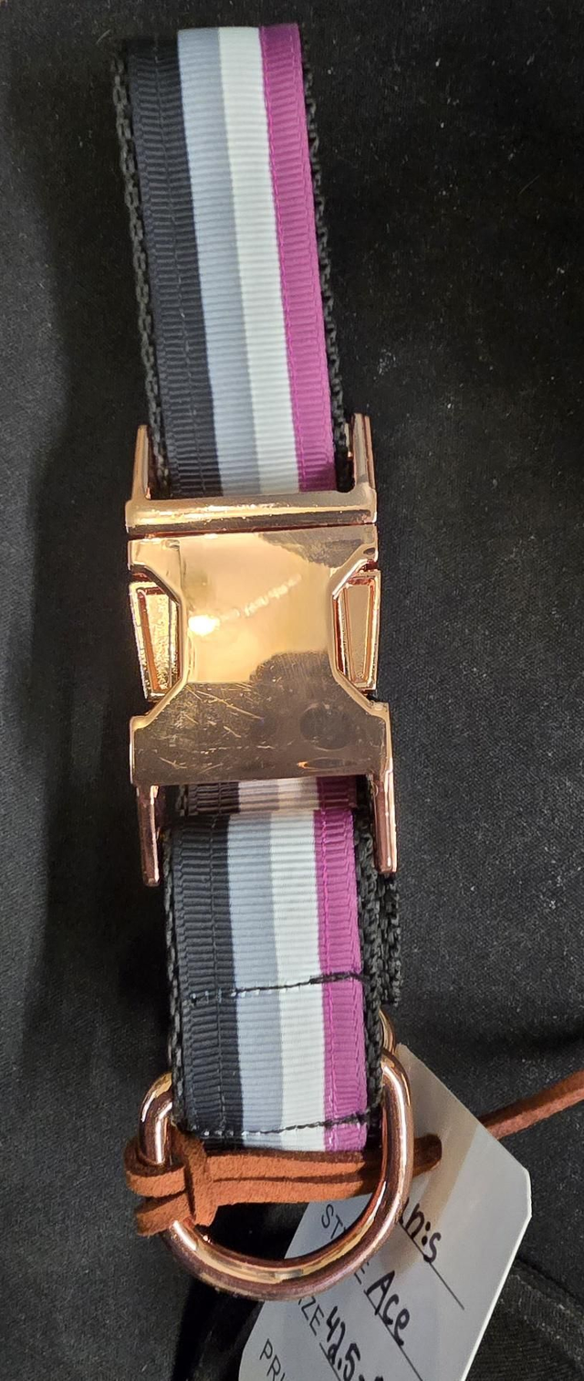 ᴄᴀɴ:ꜱ: - Ace -