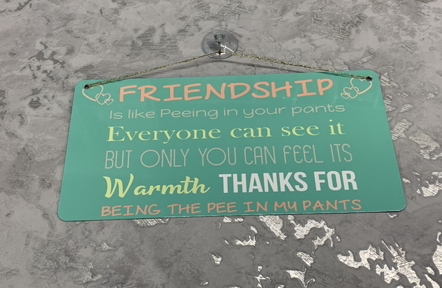 Friendship is like peeing in your pants sign